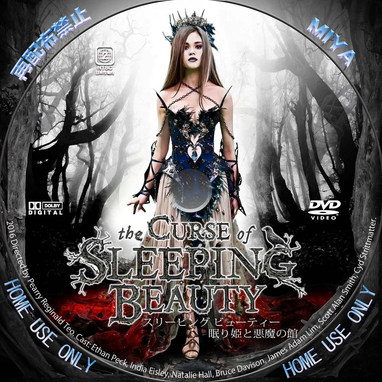 スリーピング ビューティー 眠り姫と悪魔の館